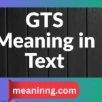 gts meaning in text