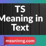 TS Meaning in Text