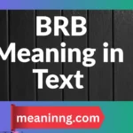 brb meaning in text