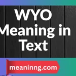 wyo meaning in text