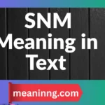 snm meaning in text