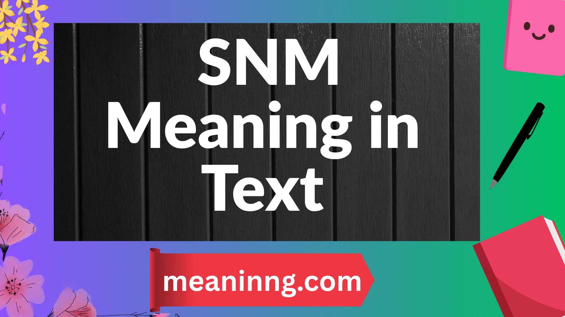 snm meaning in text