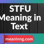 stfu meaning in text