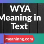What Does WYA Stand For? Real Meaning, Examples, and Usage in 2025