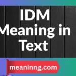 idm meaning in text