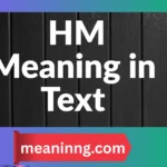 hm meaning in text