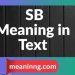 sb meaning in text