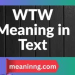 wtw meaning in text