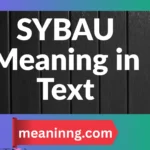 sybau meaning in text