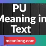 pu meaning in text