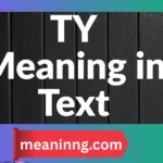 ty meaning in text