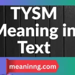 tysm meaning in text