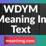 wdym meaning in text