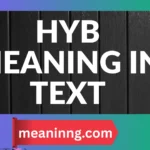 hyb meaning in text