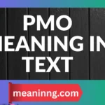 pmo meaning in text