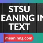 stsu meaning in text