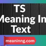 ts meaning in text instagram