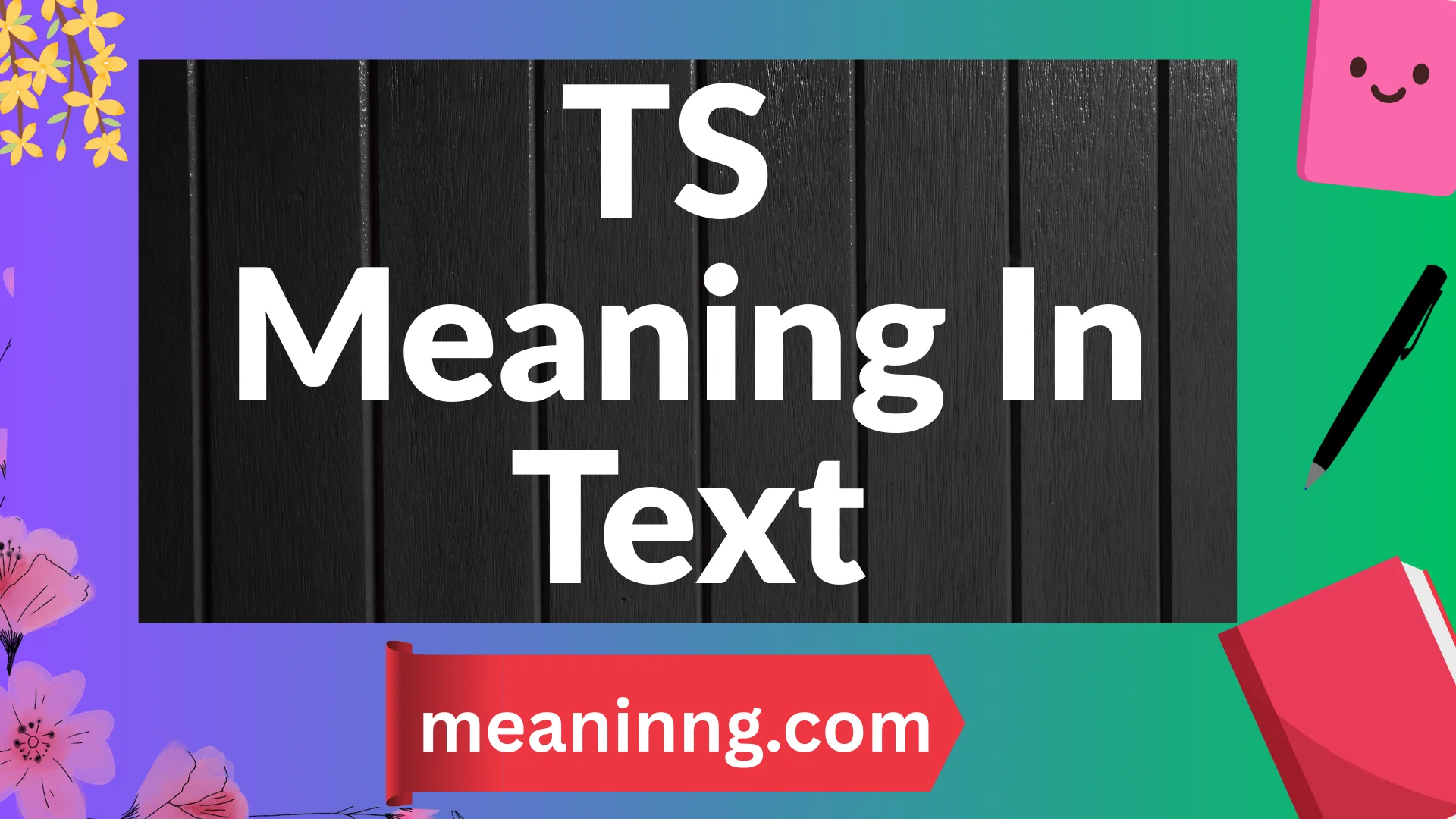 ts meaning in text instagram