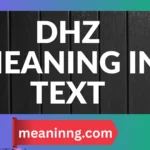 dhz meaning in text