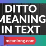 ditto meaning in text