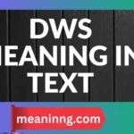 dws meaning in text