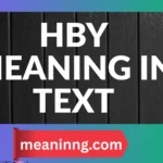 hby meaning in text