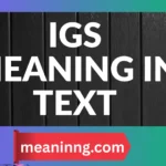 igs meaning in text