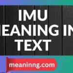 imu meaning in text