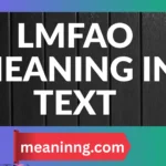 lmfao meaning in text