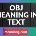 obj meaning in text