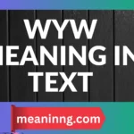 wyw meaning in text